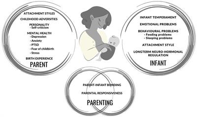 Editorial: From childbearing to childrearing: Parental mental health and infant development